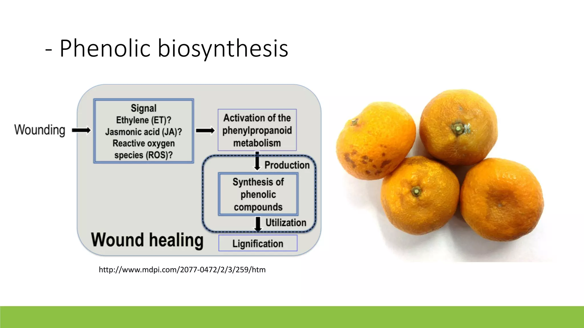 Slide 15