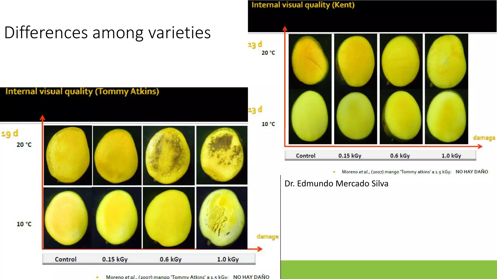 Slide 17