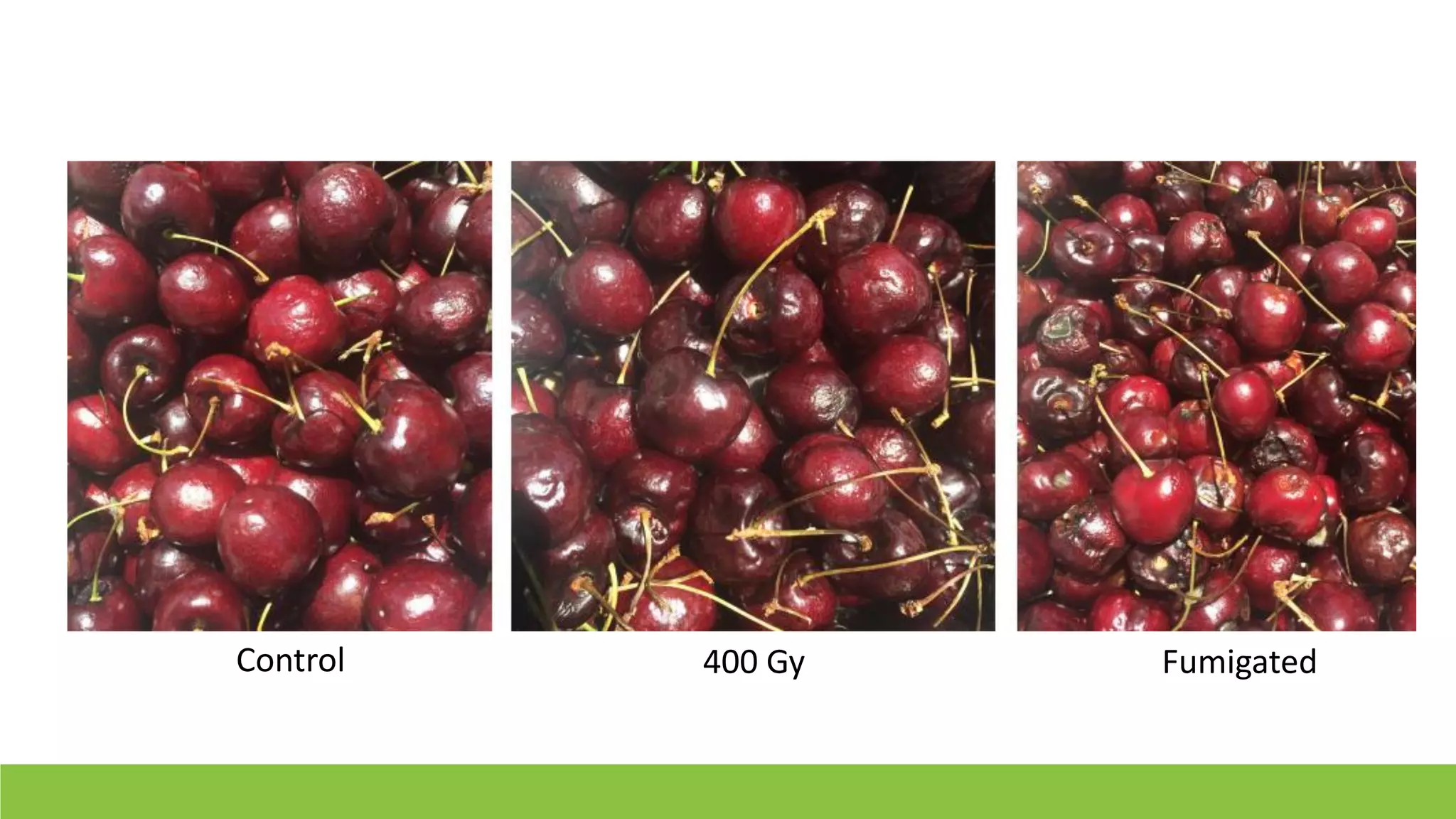 Slide 31