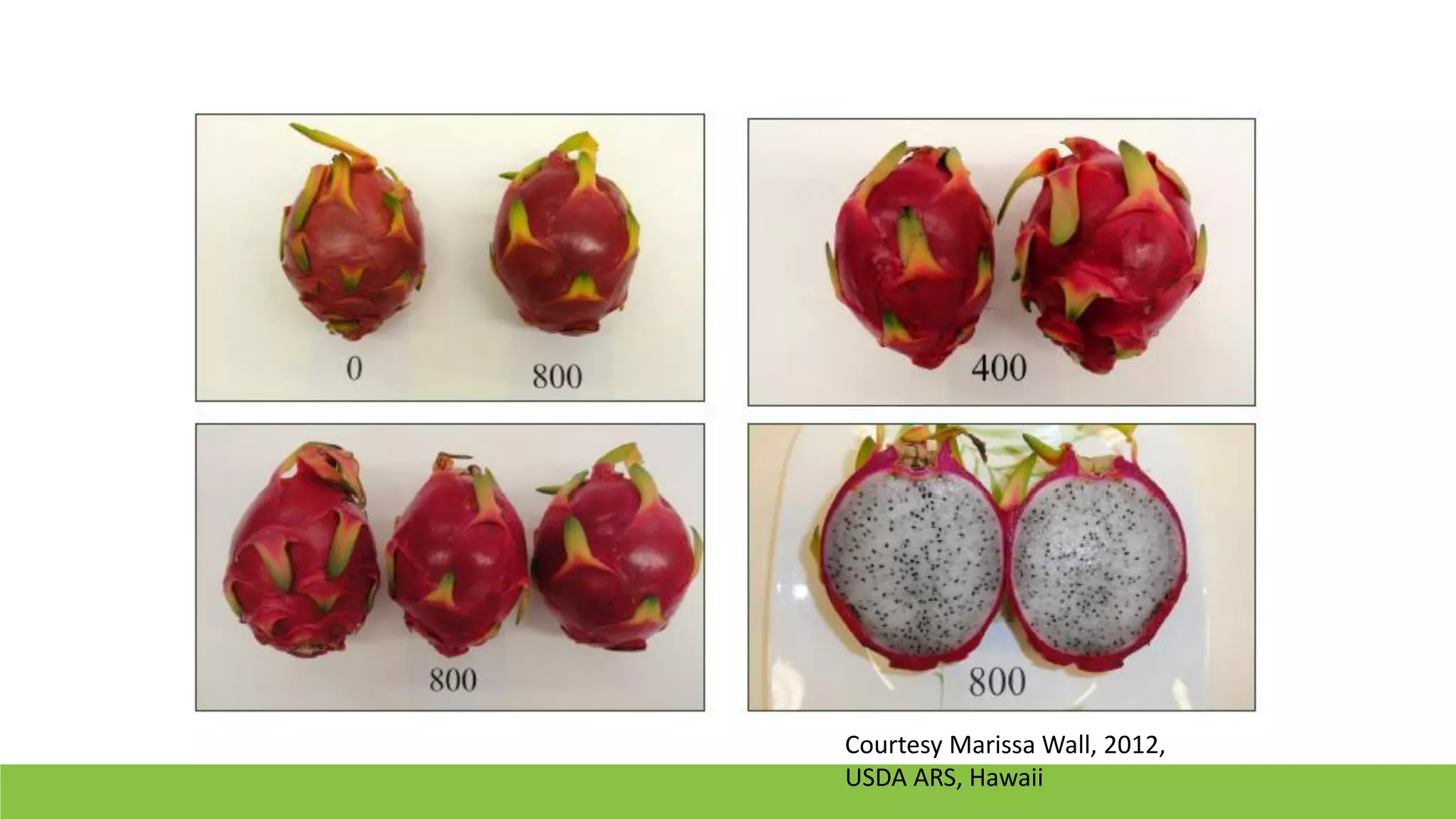 Slide 6