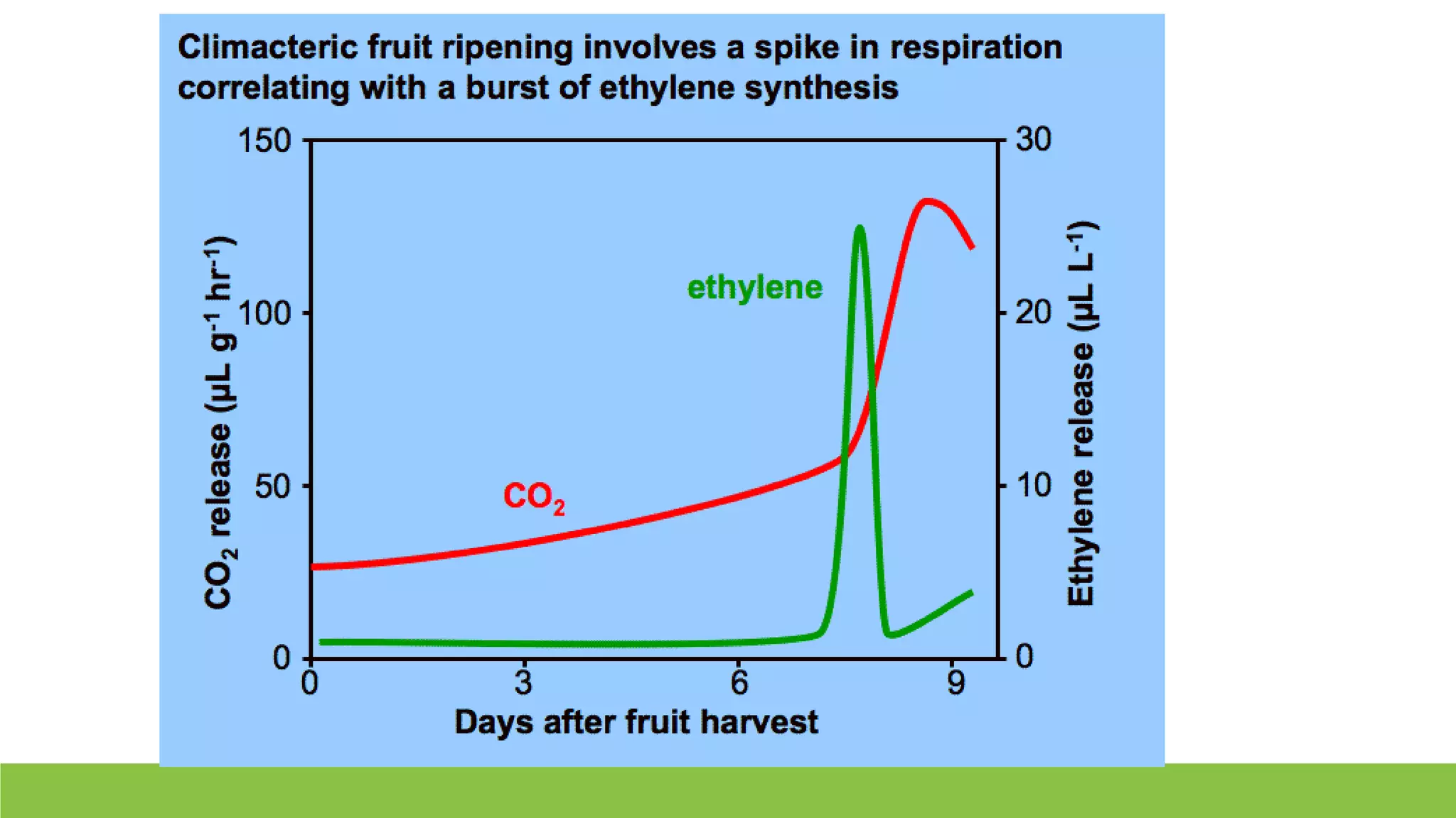 Slide 7