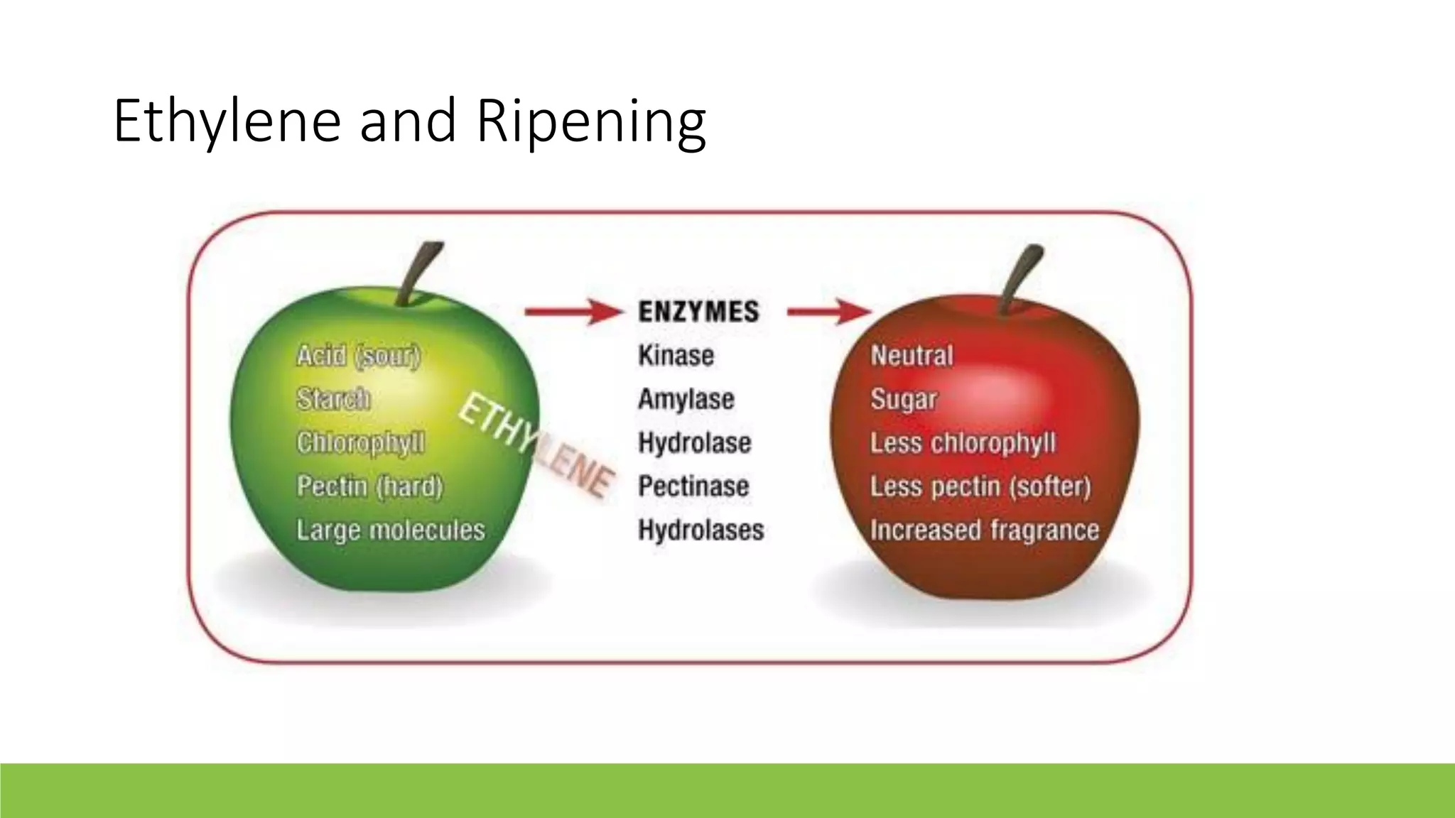 Slide 8