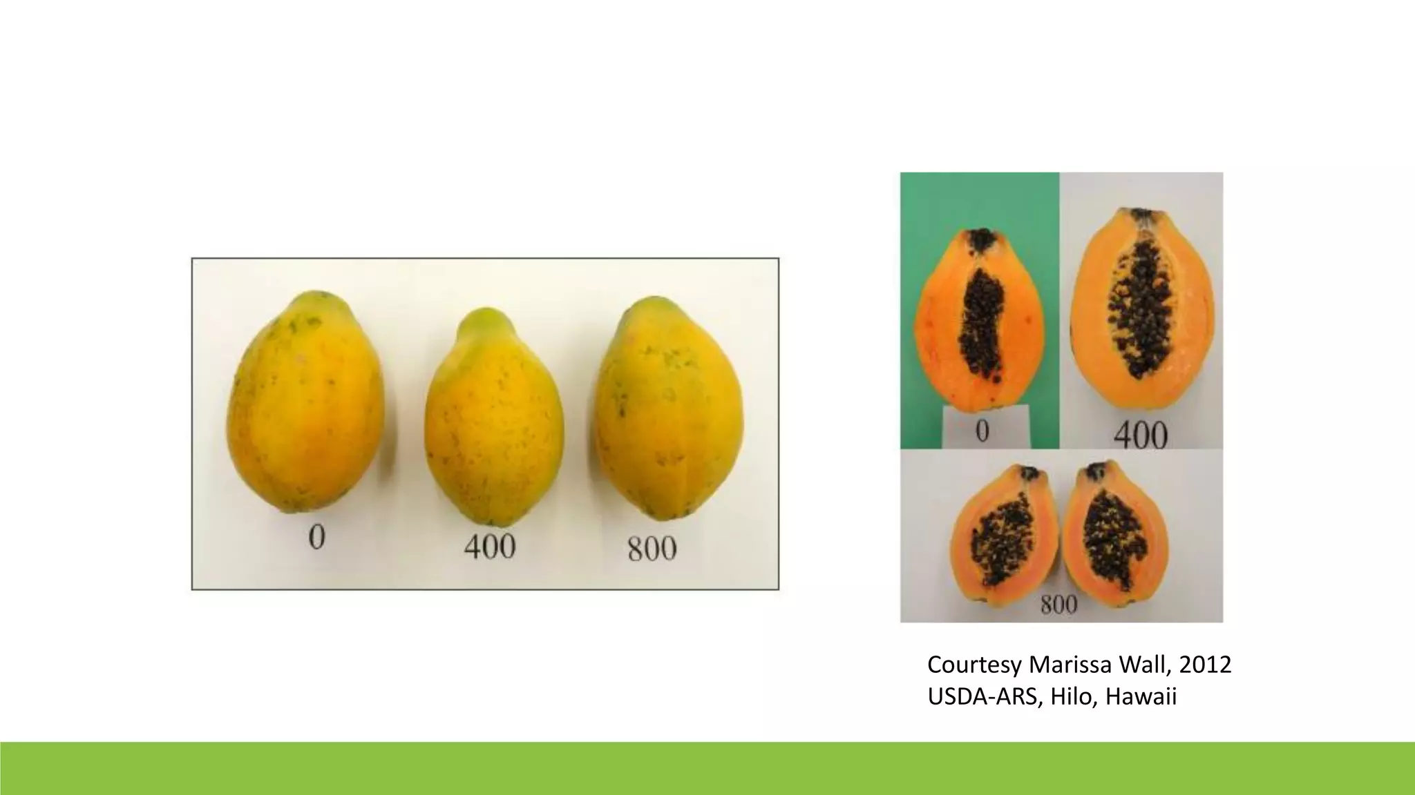 Slide 9