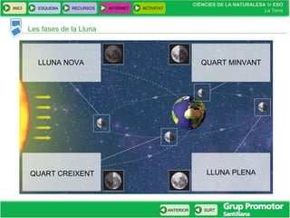 CIÈNCIES DE LA NATURALESA 1r ESO
La Terra
CIÈNCIES DE LA NATURALESA 1r ESO
La Terra
INICI ESQUEMA RECURSOS INTERNET ACTIVITAT
ANTERIOR SURT
Les fases de la Lluna
LLUNA NOVA
QUART CREIXENT
QUART MINVANT
LLUNA PLENA
 