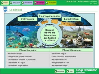 CIÈNCIES DE LA NATURALESA 1r ESO
La Terra
CIÈNCIES DE LA NATURALESA 1r ESO
La Terra
INICI ESQUEMA RECURSOS INTERNET ACTIVITAT
ANTERIOR SURT
- Escassetat d’aigua
- Grans variacions de temperatura
- Abundància de llum
- Menys densitat de l’aire
- Abundància d’oxigen
- Abundància d’aigua
- Temperatures gairebé constants
- Escassetat de llum amb la profunditat
- Més densitat de l’aigua
- Escassetat d’oxigen dissolt
La biosfera
Conjunt
de tots els
éssers vius
que habiten
a la Terra
L’escorça terrestre
L’atmosfera La hidrosfera
El medi aquàtic El medi terrestre
 