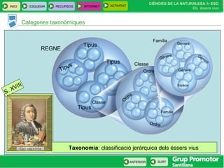 INICI ESQUEMA RECURSOS INTERNET ACTIVITAT
CIÈNCIES DE LA NATURALESA 1r ESO
Els éssers vius
ANTERIOR SURT
Categories taxonòmiques
ACTIVITAT
S. XVIII
Taxonomia: classificació jeràrquica dels éssers vius
REGNE
Família
Tipus
Tipus
Tipus
Tipus
Classe
Ordre
Ordre
Ordre
Família
Gènere
Gènere Gènere
Gènere
Espècie
Carl von Linné
Classe
 
