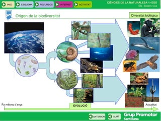 INICI ESQUEMA RECURSOS INTERNET ACTIVITAT
CIÈNCIES DE LA NATURALESA 1r ESO
Els éssers vius
ANTERIOR SURT
Origen de la biodiversitat
Fa milions d’anys ActualitatEVOLUCIÓ
Diversitat biològica
 