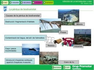INICI ESQUEMA RECURSOS INTERNET ACTIVITAT
CIÈNCIES DE LA NATURALESA 1r ESO
Els éssers vius
ANTERIOR SURT
La pèrdua de biodiversitat
Causes de la pèrdua de biodiversitat
Destrucció i fragmentació d’hàbitats
Contaminació de l’aigua, del sòl i de l’atmosfera
Introducció d’espècies exòtiques
i aparició d’espècies invasores
Caça i pesca
incontrolades
Preses
Mineria
Residus Indústries
Cranc de riu
 