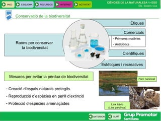 INICI ESQUEMA RECURSOS INTERNET ACTIVITAT
CIÈNCIES DE LA NATURALESA 1r ESO
Els éssers vius
ANTERIOR SURT
Conservació de la biodiversitat
Raons per conservar
la biodiversitat
Científiques
Estètiques i recreatives
Comercials
Ètiques
- Primeres matèries
- Antibiòtics
Mesures per evitar la pèrdua de biodiversitat
- Creació d’espais naturals protegits
- Reproducció d’espècies en perill d’extinció
- Protecció d’espècies amenaçades
Parc nacional
Linx ibèric
(Linx pardinus)
 