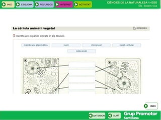 INICI ESQUEMA RECURSOS INTERNET ACTIVITAT
CIÈNCIES DE LA NATURALESA 1r ESO
Els éssers vius
ANTERIOR SURT
INICI
 