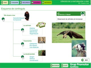 INICI ESQUEMA RECURSOS INTERNET ACTIVITAT
CIÈNCIES DE LA NATURALESA 1r ESO
Els éssers vius
ANTERIOR SURT
Esquema de continguts
Els éssers vius
Característiques
Composició
La cèl·lula
Història
Composició
Diferències
Organització
Taxonomia
Categories
Els regnes
Les espècies
La biodiversitat
Origen
Pèrdua
Conservació
Ciència a l’abast
Observació de cèl·lules al microscopi
INICI
 