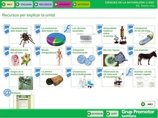 INICI ESQUEMA RECURSOS INTERNET ACTIVITAT
CIÈNCIES DE LA NATURALESA 1r ESO
Els éssers vius
ANTERIOR SURT
Les cèl·lules
eucariotes
Activitat: cèl·lula
animal i vegetal
INICI
Categories
taxonòmiques
La pèrdua
de biodiversitat
Recursos per explicar la unitat
Característiques
dels éssers vius
La composició
dels éssers vius
Antecedents
històrics
sobre
la cèl·lula
Composició
de les cèl·lules
Diferències entre
les cèl·lules
Nivells
d’organització
Els cinc regnes Les espècies
Origen de la
biodiversitat
Observació de
cèl·lules amb
el microscopi
Conservació
de la biodiversitat
Enllaços
 