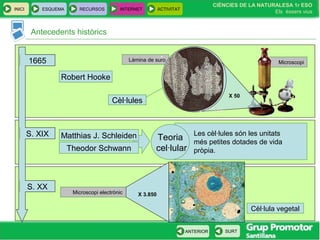 INICI ESQUEMA RECURSOS INTERNET ACTIVITAT
CIÈNCIES DE LA NATURALESA 1r ESO
Els éssers vius
ANTERIOR SURT
Làmina de suro Microscopi
Antecedents històrics
1665
Robert Hooke
X 50
Cèl·lules
S. XIX
S. XX
Theodor Schwann
Matthias J. Schleiden Les cèl·lules són les unitats
més petites dotades de vida
pròpia.
Teoria
cel·lular
Microscopi electrònic
Cèl·lula vegetal
X 3.850
 