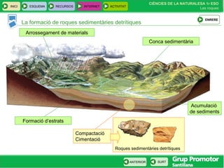 CIÈNCIES DE LA NATURALESA 1r ESO
Les roques
INICI ESQUEMA RECURSOS INTERNET ACTIVITAT
ANTERIOR SURT
La formació de roques sedimentàries detrítiques
Conca sedimentària
Formació d’estrats
Arrossegament de materials
Compactació
Cimentació
Roques sedimentàries detrítiques
ENRERE
Acumulació
de sediments
 