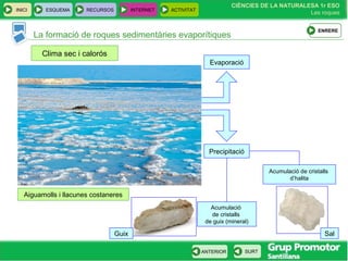 CIÈNCIES DE LA NATURALESA 1r ESO
Les roques
INICI ESQUEMA RECURSOS INTERNET ACTIVITAT
ANTERIOR SURT
La formació de roques sedimentàries evaporítiques
Clima sec i calorós
Aiguamolls i llacunes costaneres
Evaporació
Precipitació
Acumulació de cristalls
d’halita
Sal
Acumulació
de cristalls
de guix (mineral)
Guix
ENRERE
 