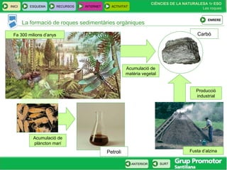 CIÈNCIES DE LA NATURALESA 1r ESO
Les roques
INICI ESQUEMA RECURSOS INTERNET ACTIVITAT
ANTERIOR SURT
Carbó
La formació de roques sedimentàries orgàniques
ENRERE
Producció
industrial
Acumulació de
matèria vegetal
Acumulació de
plàncton marí
Petroli Fusta d’alzina
Fa 300 milions d’anys
 