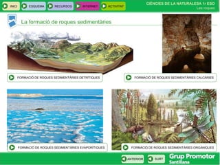 CIÈNCIES DE LA NATURALESA 1r ESO
Les roques
INICI ESQUEMA RECURSOS INTERNET ACTIVITAT
ANTERIOR SURT
La formació de roques sedimentàries
FORMACIÓ DE ROQUES SEDIMENTÀRIES EVAPORÍTIQUES
FORMACIÓ DE ROQUES SEDIMENTÀRIES DETRÍTIQUES
FORMACIÓ DE ROQUES SEDIMENTÀRIES ORGÀNIQUES
FORMACIÓ DE ROQUES SEDIMENTÀRIES CALCÀRIES
 