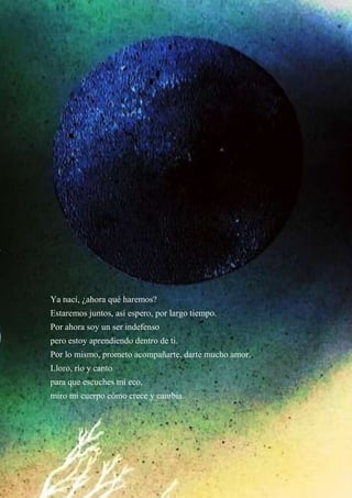Ya nací, ¿ahora qué haremos?
Estaremos juntos, así espero, por largo tiempo.
Por ahora soy un ser indefenso
pero estoy aprendiendo dentro de ti.
Por lo mismo, prometo acompañarte, darte mucho amor.
Lloro, río y canto
para que escuches mi eco,
miro mi cuerpo cómo crece y cambia.
 