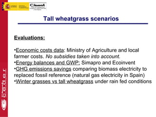 Tall wheatgrass scenarios


Evaluations:

•Economic costs data: Ministry of Agriculture and local
farmer costs. No subsidies taken into account.
•Energy balances and GWP: Simapro and Ecoinvent
•GHG emissions savings comparing biomass electricity to
replaced fossil reference (natural gas electricity in Spain)
•Winter grasses vs tall wheatgrass under rain fed conditions
 
