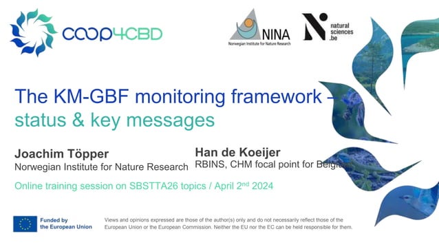 The KM-GBF monitoring framework –status & key messages. Joachim Töpper ...