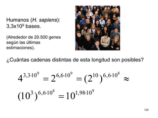 120
Humanos (H. sapiens):
3,3x109 bases.
(Alrededor de 20.500 genes
según las últimas
estimaciones).
¿Cuántas cadenas distintas de esta longitud son posibles?
98
899
1098,1106,63
106,610106,6103,3
10)10(
)2(24
⋅⋅
⋅⋅⋅
=
≈==
 