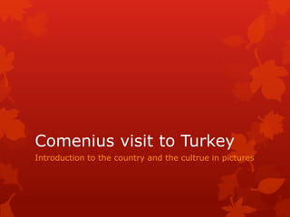 Comenius visit to Turkey
Introduction to the country and the cultrue in pictures

 