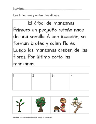 PROFRA. YOLANDA ZAMBRANO A. MANITAS PINTADAS
Nombre:______________________________________________________
Lee la lectura y ordena los dibujos.
El árbol de manzanas
Primero un pequeño retoño nace
de una semilla. A continuación, se
forman brotes y salen flores.
Luego las manzanas crecen de las
flores. Por último corto las
manzanas.
1 2 3 4
 