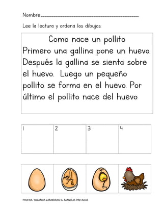 PROFRA. YOLANDA ZAMBRANO A. MANITAS PINTADAS
Nombre:______________________________________________________
Lee la lectura y ordena los dibujos.
Como nace un pollito
Primero una gallina pone un huevo.
Después la gallina se sienta sobre
el huevo. Luego un pequeño
pollito se forma en el huevo. Por
último el pollito nace del huevo
1 2 3 4
 