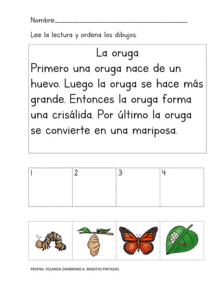 PROFRA. YOLANDA ZAMBRANO A. MANITAS PINTADAS
Nombre:______________________________________________________
Lee la lectura y ordena los dibujos.
La oruga
Primero una oruga nace de un
huevo. Luego la oruga se hace más
grande. Entonces la oruga forma
una crisálida. Por último la oruga
se convierte en una mariposa.
1 2 3 4
 