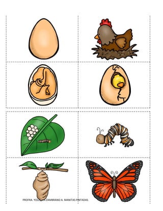 PROFRA. YOLANDA ZAMBRANO A. MANITAS PINTADAS
 