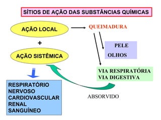 SÍTIOS DE AÇÃO DAS SUBSTÂNCIAS QUÍMICAS
AÇÃO LOCAL

+
AÇÃO SISTÊMICA

QUEIMADURA

PELE
OLHOS
VIA RESPIRATÓRIA
VIA DIGESTIVA

RESPIRATÓRIO
NERVOSO
CARDIOVASCULAR
RENAL
SANGUÍNEO

ABSORVIDO

 