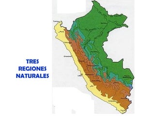 TRES
REGIONES
NATURALES

 