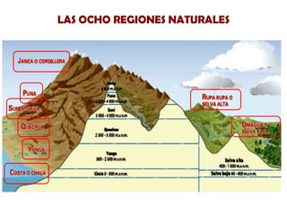 LAS OCHO REGIONES NATURALES

 