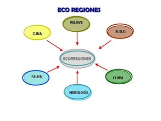 ECO REGIONES

 