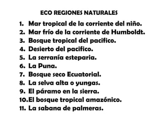 ECO REGIONES NATURALES

1. Mar tropical de la corriente del niño.
2. Mar frío de la corriente de Humboldt.
3. Bosque tropical del pacifico.
4. Desierto del pacifico.
5. La serranía esteparia.
6. La Puna.
7. Bosque seco Ecuatorial.
8. La selva alta o yungas.
9. El páramo en la sierra.
10.El bosque tropical amazónico.
11. La sabana de palmeras.

 