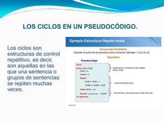 LOS CICLOS EN UN PSEUDOCÓDIGO.
• Los ciclos son
estructuras de control
repetitivo, es decir,
son aquellas en las
que una sentencia o
grupos de sentencias
se repiten muchas
veces.
 