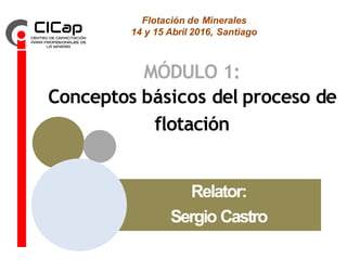 Relator:
Sergio Castro
MÓDULO 1:
Conceptos básicos del proceso de
flotación
Flotación de Minerales
14 y 15 Abril 2016, Santiago
 