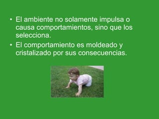 • El ambiente no solamente impulsa o
causa comportamientos, sino que los
selecciona.
• El comportamiento es moldeado y
cristalizado por sus consecuencias.
 