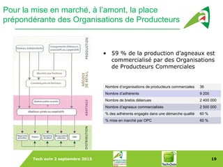 Tech ovin 2 septembre 2015 19
Dans le Monde
Pour la mise en marché, à l’amont, la place
prépondérante des Organisations de Producteurs
• 59 % de la production d’agneaux est
commercialisé par des Organisations
de Producteurs Commerciales
Nombre d’organisations de producteurs commerciales 36
Nombre d’adhérents 9 200
Nombre de brebis détenues 2 400 000
Nombre d’agneaux commercialisés 2 500 000
% des adhérents engagés dans une démarche qualité 60 %
% mise en marché par OPC 60 %
 