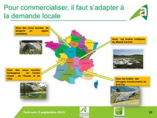 Tech ovin 2 septembre 2015 22
Dans le Monde
Pour commercialiser, il faut s’adapter à
la demande locale
Avec des races lourdes
herbagères du Centre
Ouest , de l’Ouest, et de
l’Est Avec les brebis des
élevages transhumants du
Sud Est
Avec des races lourdes de
bergerie en région
céréalière
Avec les brebis rustiques
du Massif Central
 