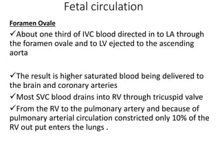 Fetal circulation
Foramen Ovale
About one third of IVC blood directed in to LA through
the foramen ovale and to LV ejected to the ascending
aorta
The result is higher saturated blood being delivered to
the brain and coronary arteries
Most SVC blood drains into RV through tricuspid valve
From the RV to the pulmonary artery and because of
pulmonary arterial circulation constricted only 10% of the
RV out put enters the lungs .
 