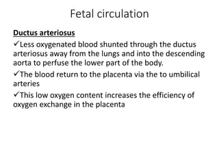 Fetal circulation
Ductus arteriosus
Less oxygenated blood shunted through the ductus
arteriosus away from the lungs and into the descending
aorta to perfuse the lower part of the body.
The blood return to the placenta via the to umbilical
arteries
This low oxygen content increases the efficiency of
oxygen exchange in the placenta
 