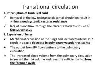 Transitional circulation
1. Interruption of Umbilical cord
 Removal of the low resistance placental circulation result in
an Increased systemic vascular resistance
 lack of blood flow through the placenta leads to closure of
Ductus venosus
2. Expansion of lungs
 Mechanical expansion of the lungs and increased arterial P02
result in a rapid decrease in pulmonary vascular resistance
 The output from RV flows entirely to the pulmonary
circulation
 The increased blood volume from the pulmonary circulation
increased the LA volume and pressure sufficiently to close
the foramen ovale
 