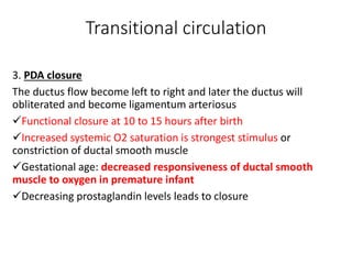 Transitional circulation
3. PDA closure
The ductus flow become left to right and later the ductus will
obliterated and become ligamentum arteriosus
Functional closure at 10 to 15 hours after birth
Increased systemic O2 saturation is strongest stimulus or
constriction of ductal smooth muscle
Gestational age: decreased responsiveness of ductal smooth
muscle to oxygen in premature infant
Decreasing prostaglandin levels leads to closure
 