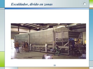 Escaldador, divido en zonas




                              59
 