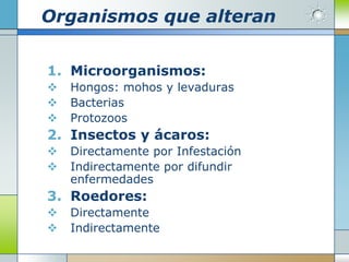 Organismos que alteran


1. Microorganismos:
   Hongos: mohos y levaduras
   Bacterias
   Protozoos
2. Insectos y ácaros:
   Directamente por Infestación
   Indirectamente por difundir
    enfermedades
3. Roedores:
   Directamente
   Indirectamente
 