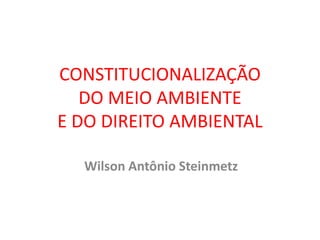 CONSTITUCIONALIZAÇÃO
DO MEIO AMBIENTE
E DO DIREITO AMBIENTAL
Wilson Antônio Steinmetz
 