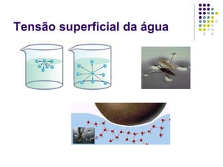 Tensão superficial da água
 