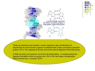 Todas as proteínas que compõe o nosso organismo são constituídas por
sequências de amino-ácidos, ligados covalentemente. Estes compostos possuem
grupos -OH e -NH capazes de formar uma forte rede de ligações intermoleculares.
O DNA de todos os humanos: sua forma de dupla-hélice - é mantida graças às
ligações hidrogênio entre os grupos dos -OH e -NH das bases nitrogenadas
heterocíclicas que o compõe: GCAT.
 