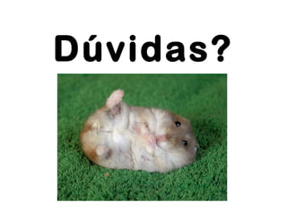 Dúvidas?
 